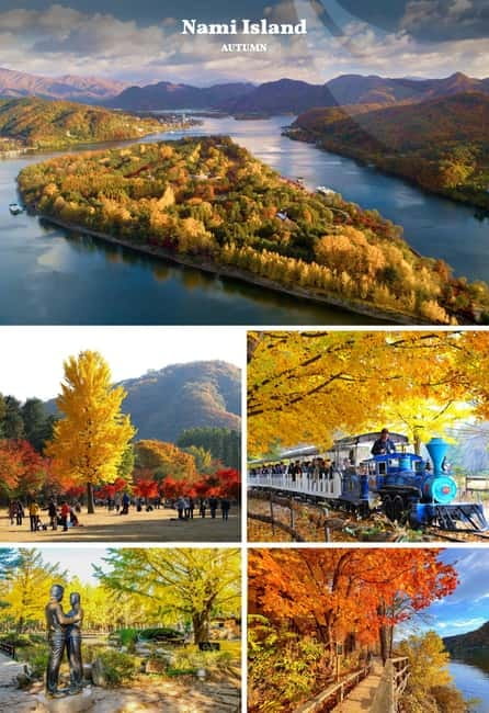 Nami Island, Railbike & Alpaca Garden Day Trip from Seoul - Transport, guides, and the shape of the day