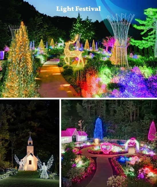 Nami Island, Railbike & Alpaca Garden Day Trip from Seoul - Who should book this experience