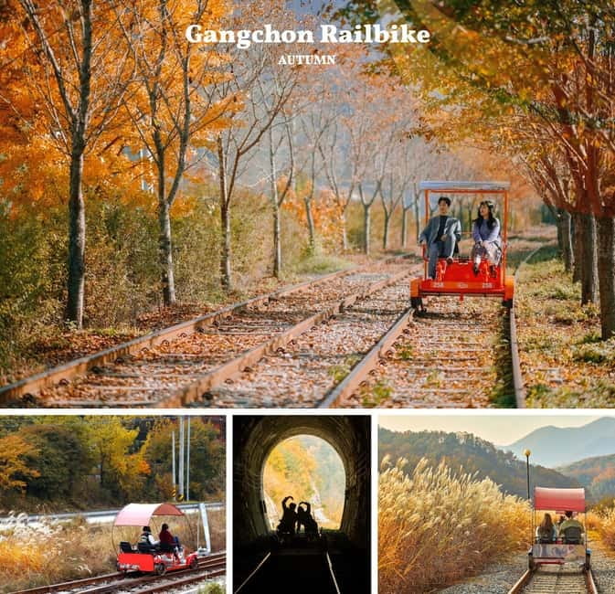 Nami Island, Railbike & Alpaca Garden Day Trip from Seoul - Nami Island and the color of fall