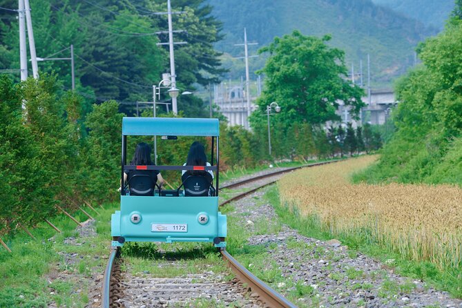 Nami Island Trip with Petite France & Italian Village and Gangchon Rail Bike - Why this Seoul day trip works