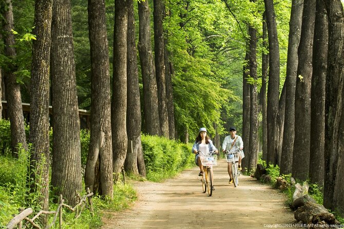 Nami Island Trip with Petite France & Italian Village and Gangchon Rail Bike - Gangchon Rail Bike: the day’s active centerpiece