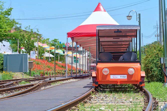 Nami Island Trip with Petite France & Italian Village and Gangchon Rail Bike - Who should choose this tour