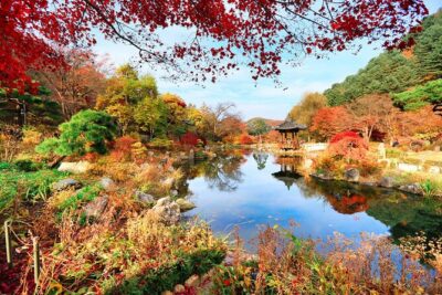Pocheon Art Valley, Garden & Fruit Picking Day Tour from Seoul