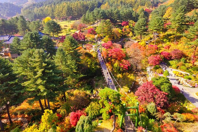 Pocheon Art Valley, Garden & Fruit Picking Day Tour from Seoul - Winter changes the day at Chorigol-gil