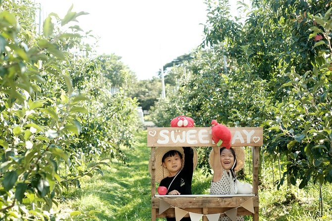 Pocheon Art Valley, Garden & Fruit Picking Day Tour from Seoul - Guides, group size, and the feel of the day