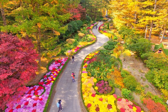 Pocheon Art Valley, Garden & Fruit Picking Day Tour from Seoul - How the value compares with going alone