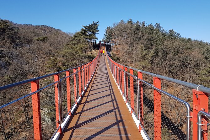 Premium Private DMZ Tour & (Suspension Bridge or N-Tower) include lunch - Why the DMZ makes such a powerful day trip