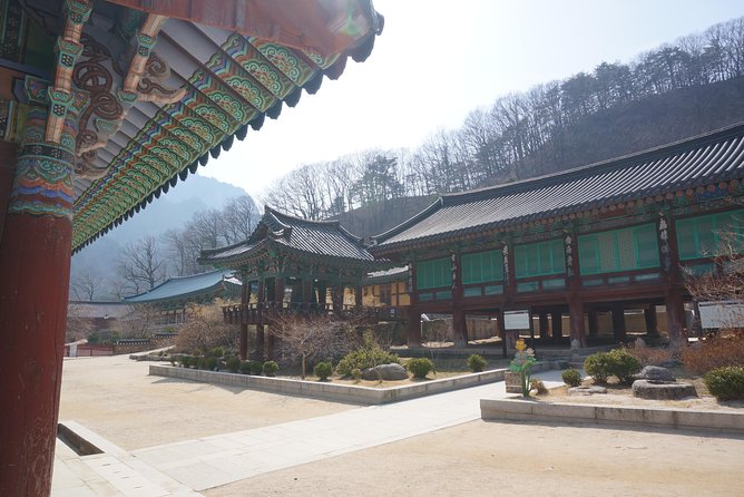 [Premium Private Tour] Mt Seorak & East Sea or Nami island from Seoul - Nami Island, the alternative route