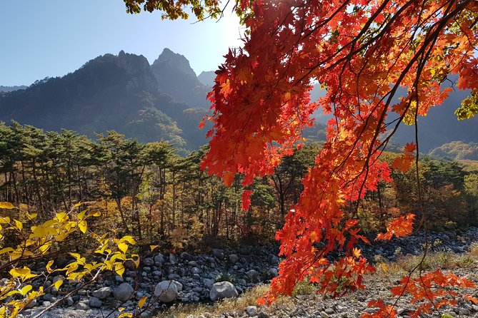 [Premium Private Tour] Mt Seorak & East Sea or Nami island from Seoul - Guides, communication, and the human factor