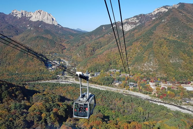 [Premium Private Tour] Mt Seorak & East Sea or Nami island from Seoul - Seoraksan National Park, the main event