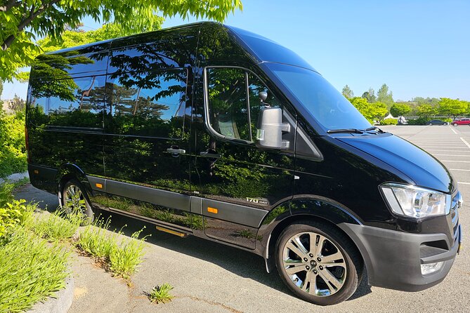 Private Airport Transfer From Incheon Airport To Seoul(up to 12) - Communication, local tips, and the human touch