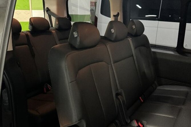 Private Airport Transfer: Incheon Airport to Seoul City (1-5 pax) - What the private van is like