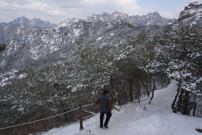 Private Bukhansan Hiking Tour (More Members Less Cost per Person) - Price, group size, and what you receive