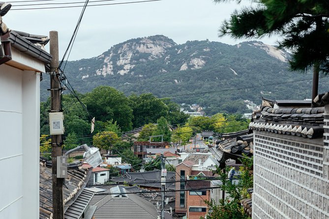 Private City Kickstart Tour: Seoul - A short Seoul introduction with a local guide