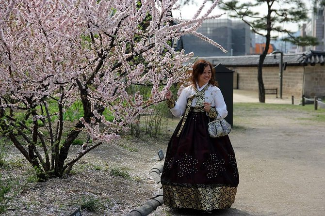 Private day tour Korea(Seoul trip) with Professional Photographer - Photography is more than a free extra