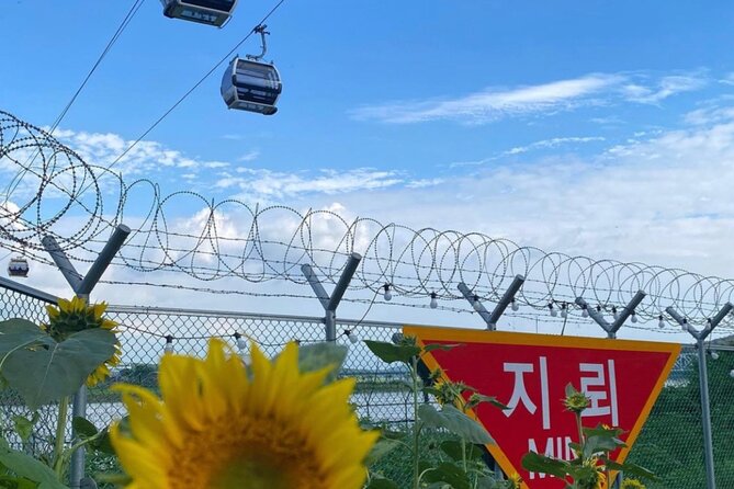 [Private] DMZ & Imjingak Peace Gondola Experience Inter-Korean War - Dora Observatory and the view toward North Korea