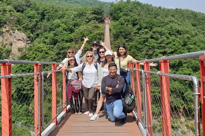 Private DMZ Tour and Suspension Bridge + Korean BBQ - Looking Across the Border at Dora Observatory