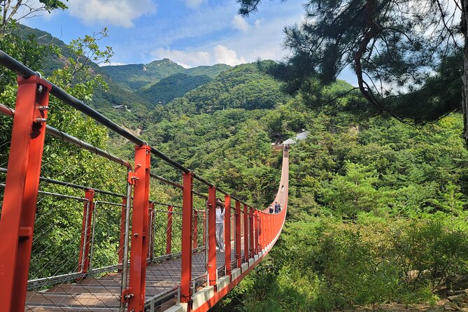 Private DMZ Tour and Suspension Bridge + Korean BBQ - What Private Really Means Here