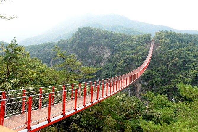 Private DMZ Tour (No Shopping): 3rd Tunnel & Suspension Bridge - Why the DMZ needs a full day from Seoul