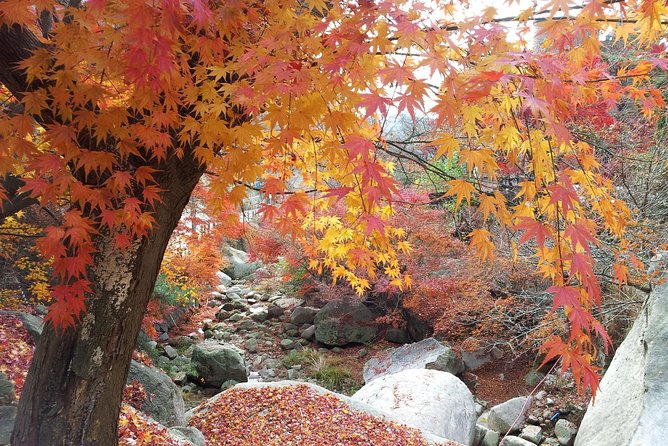 Private Hiking to Bukhansan & Korean Style Spa(Include Lunch) - Who should book this Bukhansan outing?