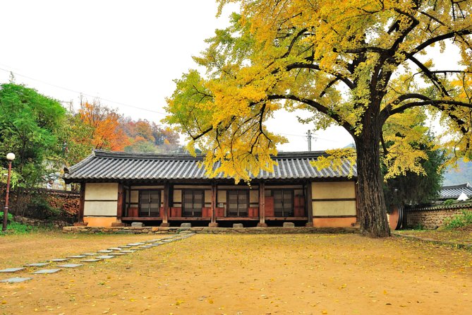 Private Jeonju Hanok Village - Culinary tour - Exploring Nambu Market and its local food culture