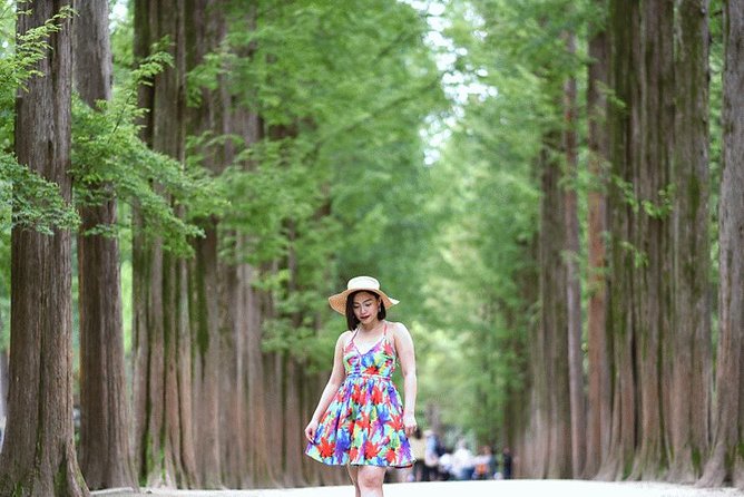 Private Nami Island Photo Shoot and Tour with a Photographer - The ride from Seoul and what private transport means
