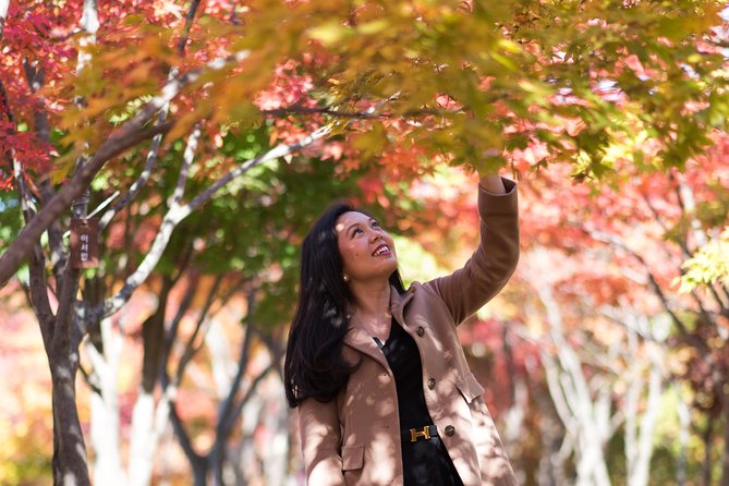 Private Nami Island Photo Shoot and Tour with a Photographer - Weather, timing, and practical points