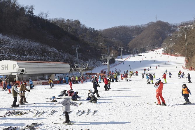 Private Ski Tour(Lesson) near Seoul at Elysian Gangchon Resort - Key points to know before booking