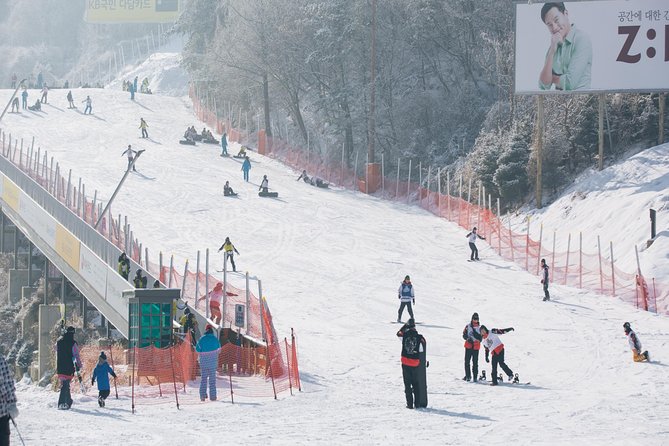 Private Ski Tour(Lesson) near Seoul at Elysian Gangchon Resort - Is $228 per person good value?