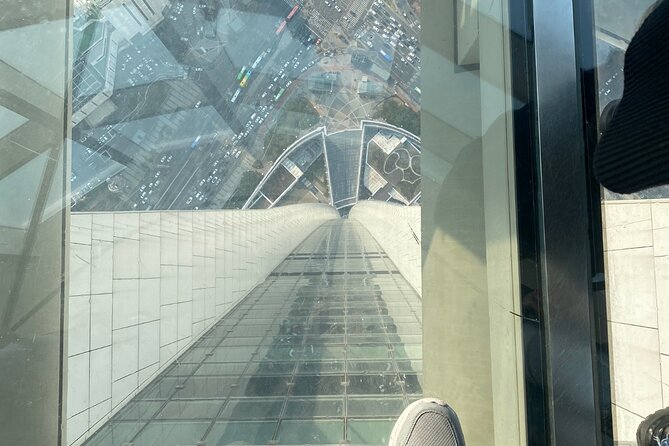 Private tour Lotte World,Tower,Aquarium(All Tickets are included) - Reaching the top of Lotte World Tower