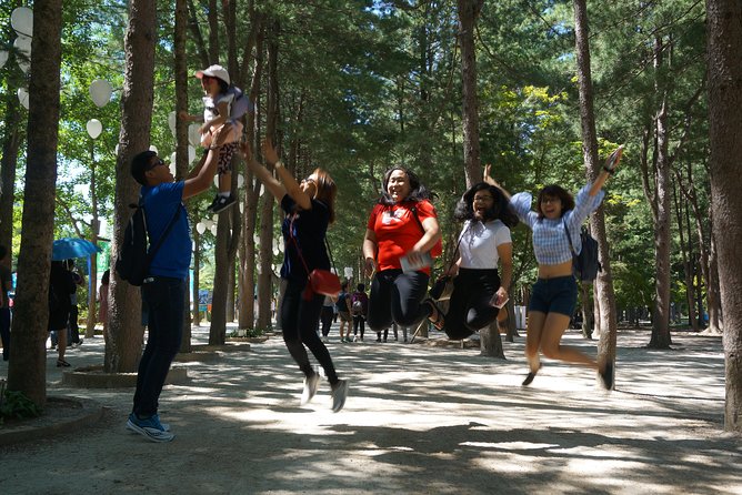 Private Tour: Nami Island& (Alpaca World 'or' Morning Calm)&Lunch - Why this private day trip works