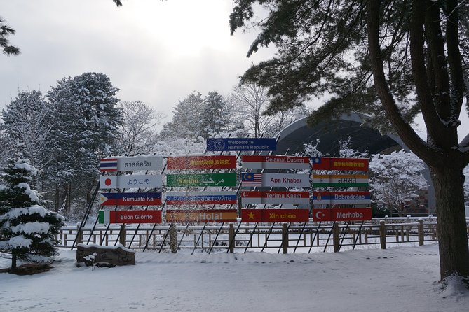 Private Tour: Nami Island& (Alpaca World 'or' Morning Calm)&Lunch - Guides who shape the experience