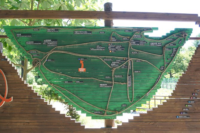 Private Tour: Nami Island& (Alpaca World 'or' Morning Calm)&Lunch - Timing, comfort, and small things to plan