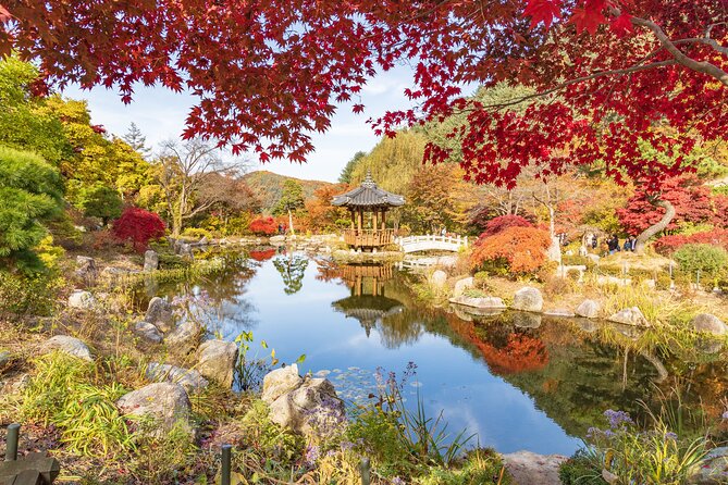 (Private tour) Nami Island + Railbike + Garden of morning calm - Nami Island: woodland paths and free time