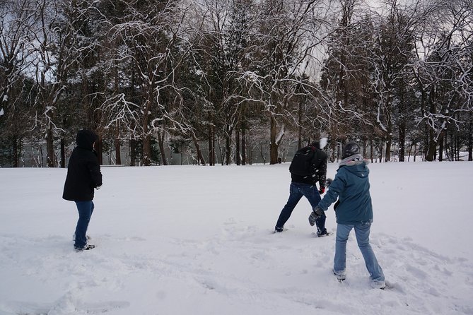 Private Tour Nami Island with Petite France 'and/or' The Garden of Morning Calm - What Four Hours on Nami Island Feels Like