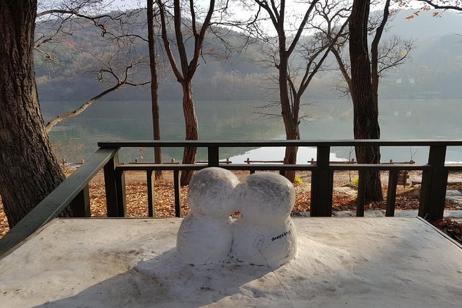 Private Tour Nami Island with Petite France 'and/or' The Garden of Morning Calm - Is $192 Per Person Good Value?