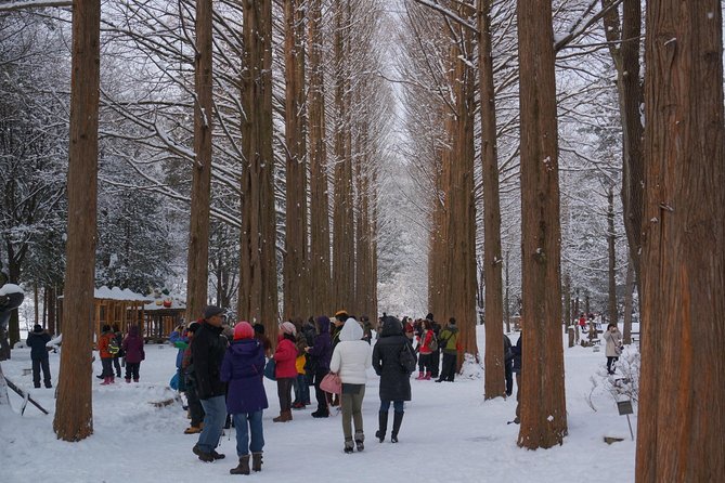 Private Tour Nami Island with Petite France 'and/or' The Garden of Morning Calm - Petite France: Charming Idea, Uneven Payoff