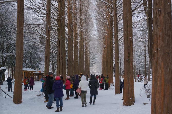 Private Tour Rail Bike & Nami Island & (Petite France or Garden of Morning Calm) - Why this private day trip works from Seoul