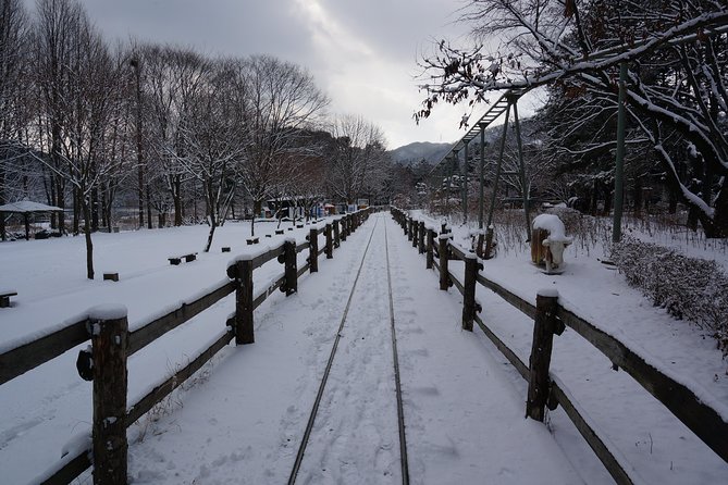 Private Tour Rail Bike & Nami Island & (Petite France or Garden of Morning Calm) - Petite France: choose the photo-friendly theme park