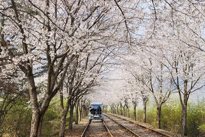 Private Tour to Alpaca world &Nami Island& Railbike with Tickets - Gangchon Rail Park beside the Bukhan River