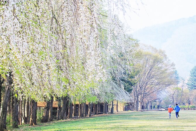 Private Tour to Alpaca world &Nami Island& Railbike with Tickets - Private transport and the value of a guide