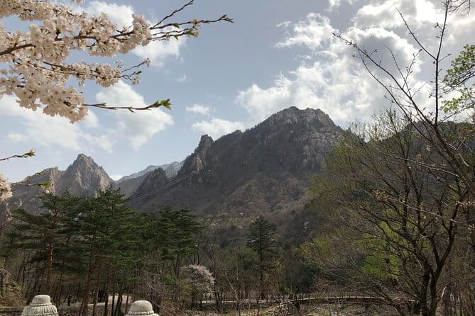 Seoraksan and Cherry Blossom Lake 1 day trip from Seoul - Why this Seoul day trip works