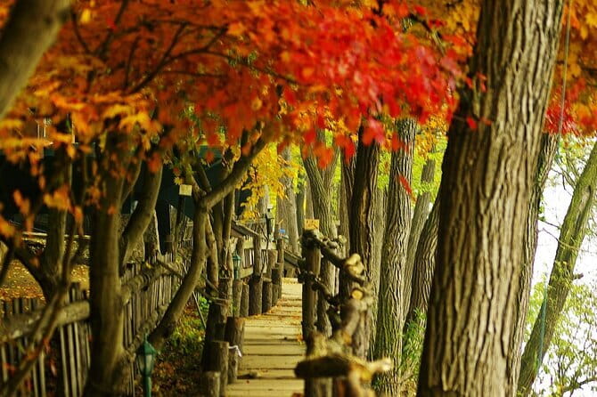 Seoraksan and Cherry Blossom Lake 1 day trip from Seoul - Who will enjoy this day most