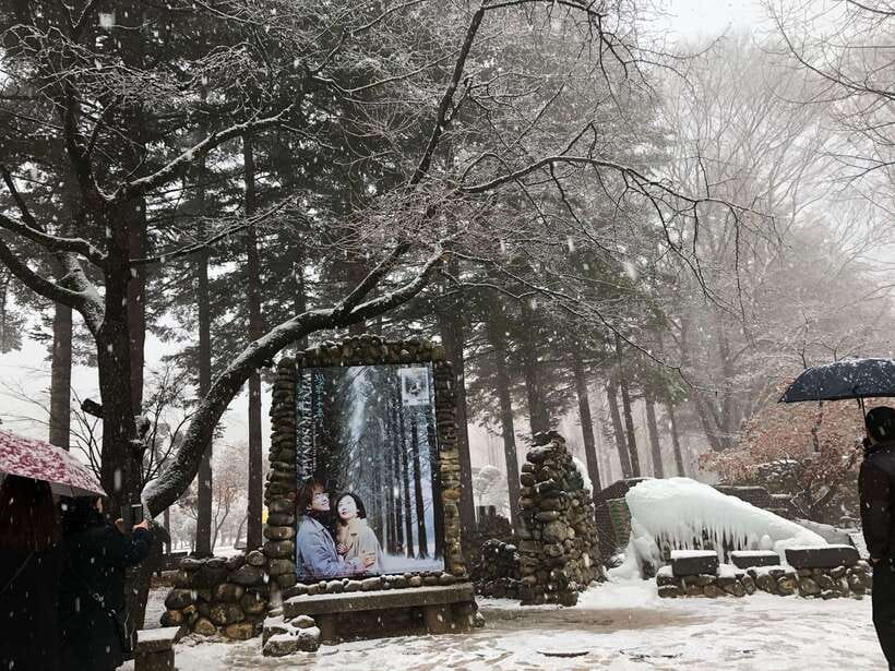 Seoul: Alpaca, Nami, Morning Calm or Eobi (+Rail Bike) - Who will get the most from this tour
