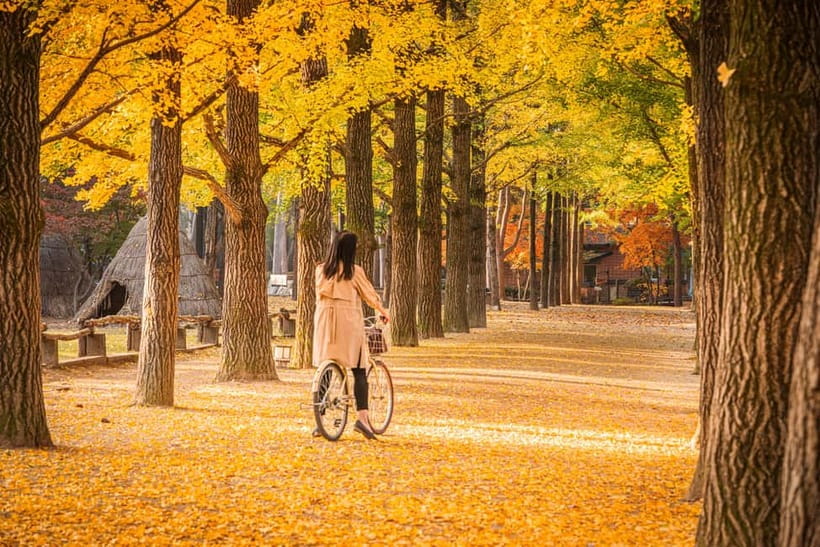 Seoul: Alpaca World & Nami Island optional Gangchon Railbike - Who should book this experience?