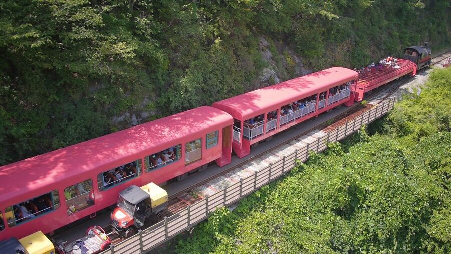Seoul: Alpaca World & Nami Island optional Gangchon Railbike - Taking in Nami Island’s tree-lined paths