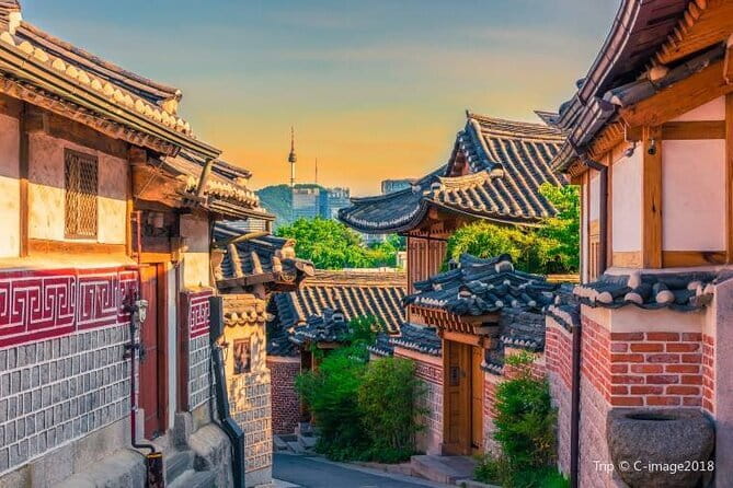 Seoul and Suburbs Private Customized Tour - Nami Island, tree-lined paths and a slower first stop