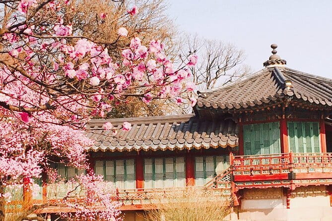 Seoul and Suburbs Private Customized Tour - Why the private car matters on this route