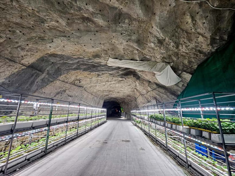 Seoul: Chungju Cruise, Cable Car & Cave Kayak Adventure Tour - Is $69 a fair price?