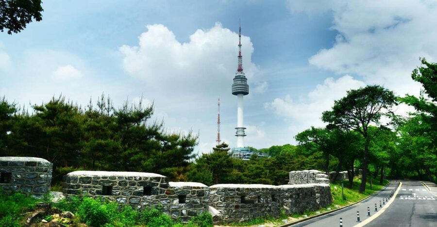 Seoul: City Highlights Full or Half Day Custom Private Tour - A private way to get your Seoul bearings